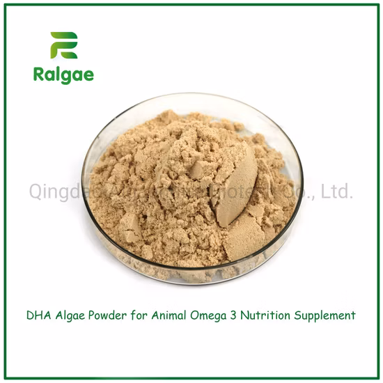 Polvere di alghe Nature Microalgae Schizochytrium DHA per additivo per pasti per animali domestici CAS6217