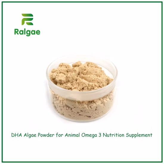 Polvere naturale di alghe Schizochytrium DHA ad alto contenuto di DHA 18% per additivo per mangimi per pollame