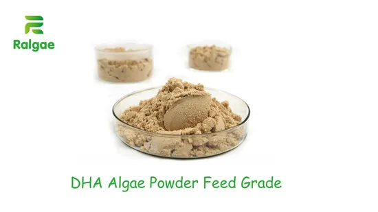 Polvere di alghe Nature Microalgae Schizochytrium DHA per additivo per pasti per animali domestici CAS6217