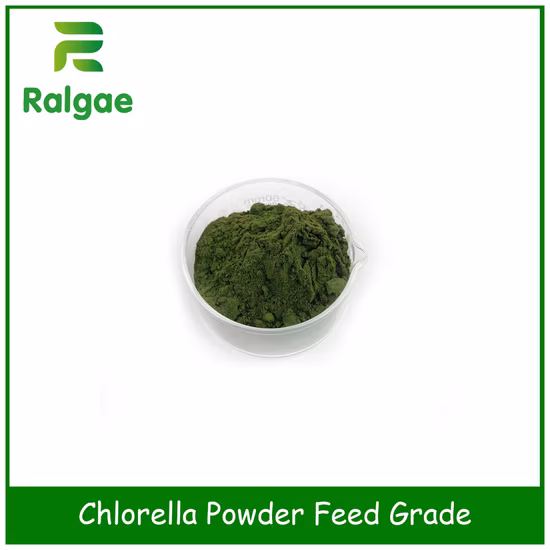 Additivo per la nutrizione animale con microalghe in polvere di clorella per mangimi