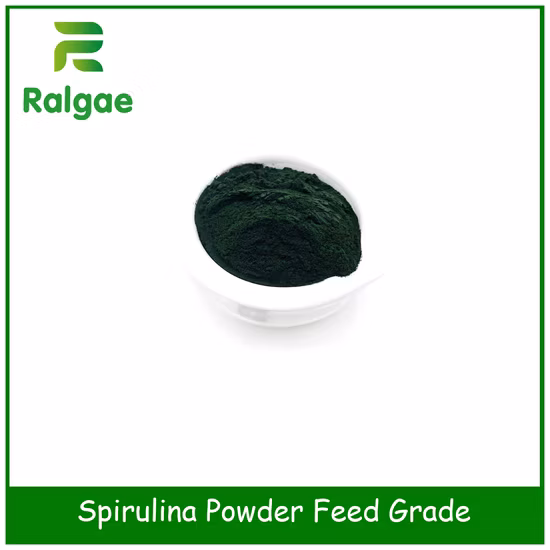 Grado di alimentazione Spirulina di alghe naturali per bestiame CAS 724424