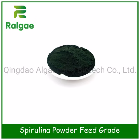 Additivo per mangimi nutrizionale per la crescita del pollame a strati di uova Spirulina naturale CAS 724424