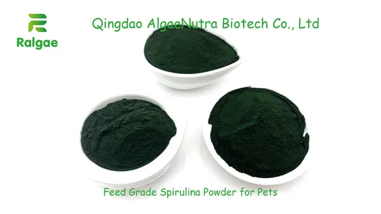 Grado di alimentazione in polvere di Spirulina verde con microalghe naturali per integratori di proteine ​​​​di cavallo