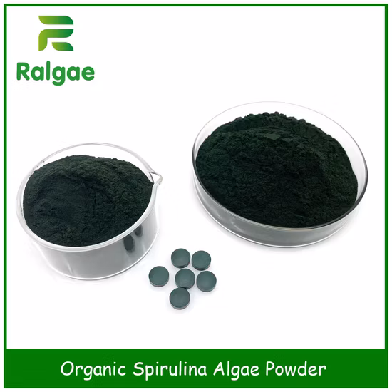 Spirulina biologica in polvere per uso alimentare Spirulina con microalghe
