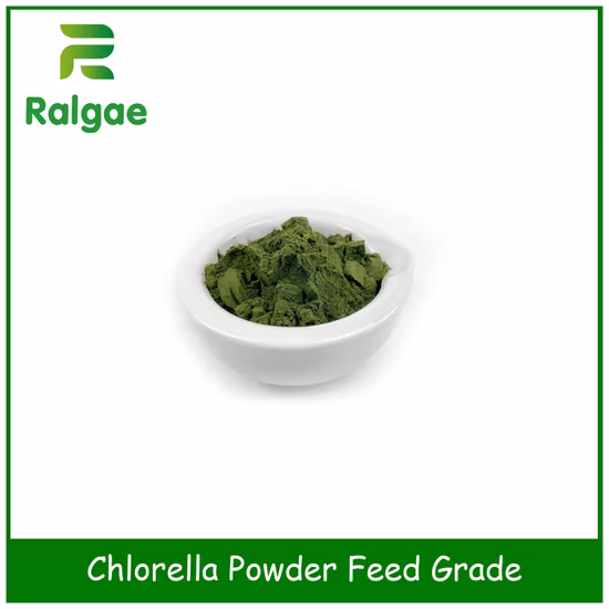 Additivo per la nutrizione animale con microalghe in polvere di clorella per mangimi
