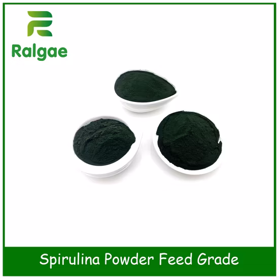 Supplemento per la nutrizione animale Microalghe Spirulina CAS 724424